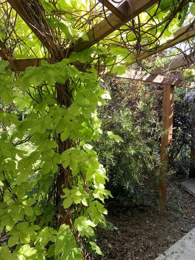 Woodpaddock Bed & Breakfast March Bagian luar foto